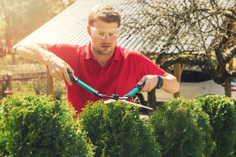 Garden Pruning