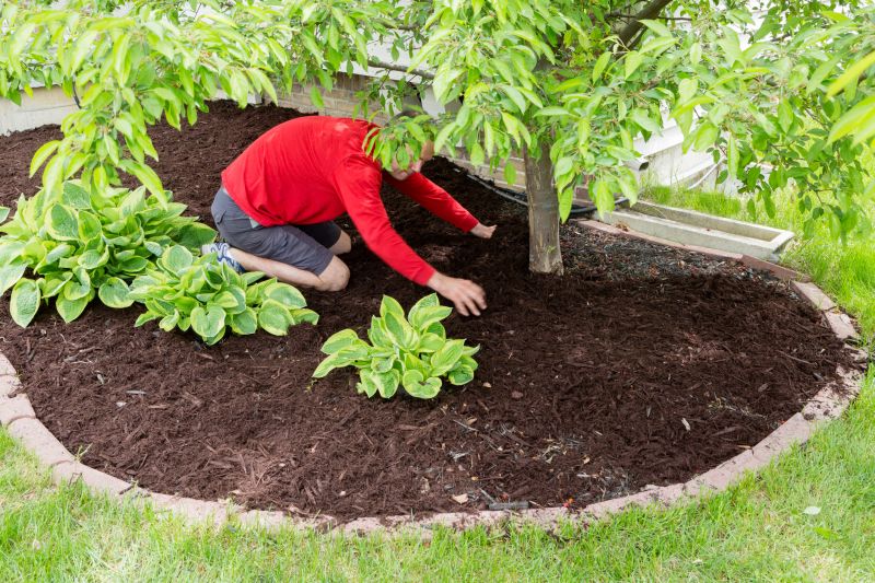 Leaf Mulching Benefits
