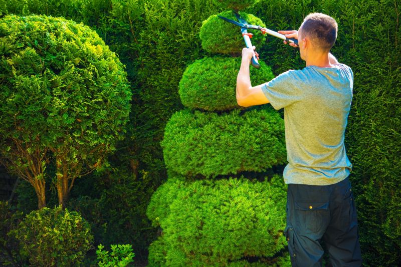 Garden Pruning