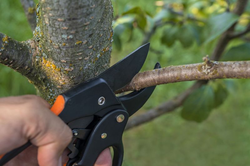 Garden Pruning