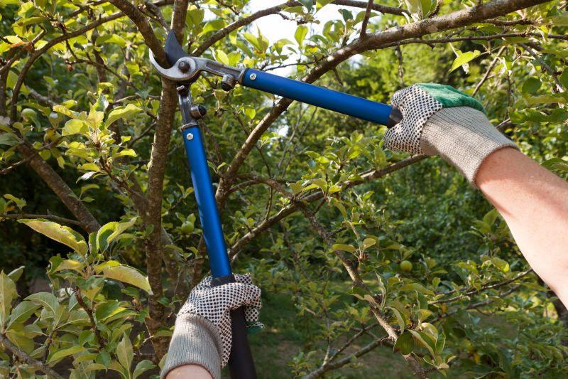 Garden Pruning