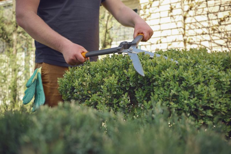 Garden Pruning