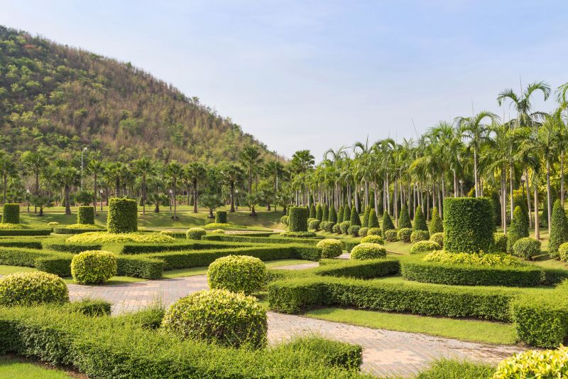 Shrubs with Rounded Tops