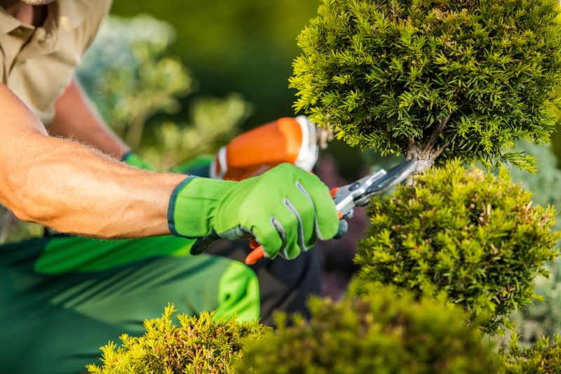 Garden Pruning Service